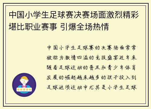 中国小学生足球赛决赛场面激烈精彩堪比职业赛事 引爆全场热情